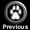 Previous Web
Site