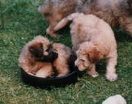 Cuties!