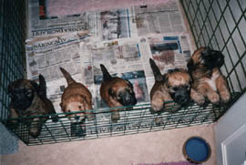 Cuties!