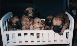 Cuties!